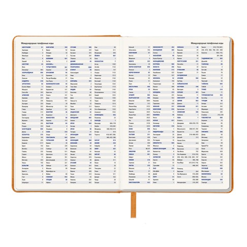 Ежедневник недатированный Pulpy, А5,  оранжевый, кремовый блок, оранжевый срез