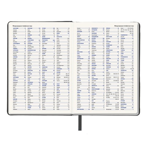 Ежедневник недатированный Pulpy, А5,  черный, кремовый блок, черный срез