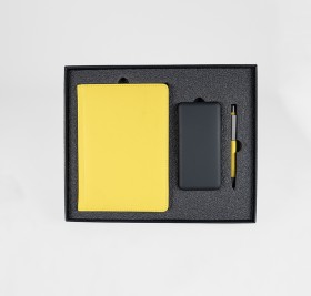 Набор подарочный ZAP 20: ежедневник, ручка и power bank в коробке  с ложементом