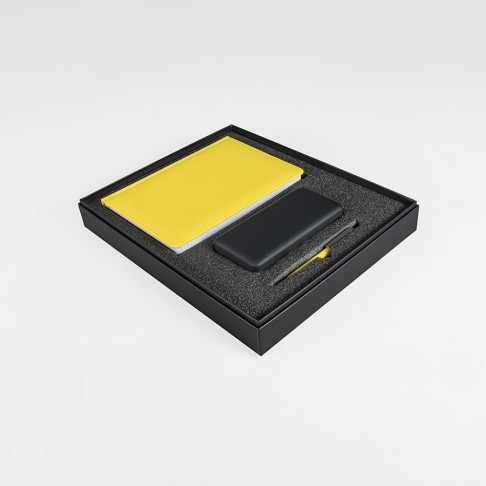 Набор подарочный ZAP 20: ежедневник, ручка и power bank в коробке  с ложементом