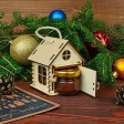 Игрушка Домик упаковка, бесцветный