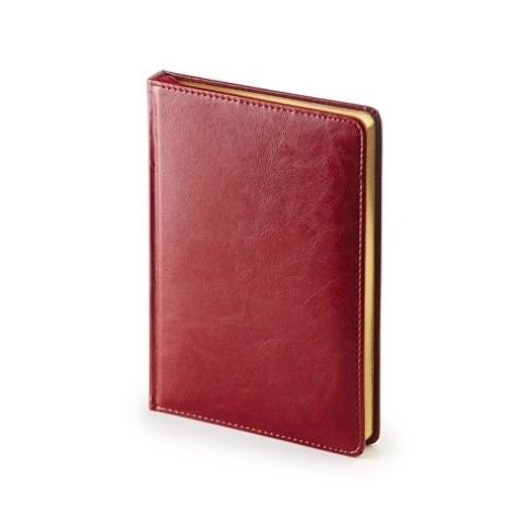 Ежедневник недатированный А5 «Sidney Nebraska», бордовый