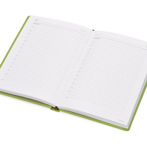 Ежедневник недатированный А5 «Velvet», салатовый