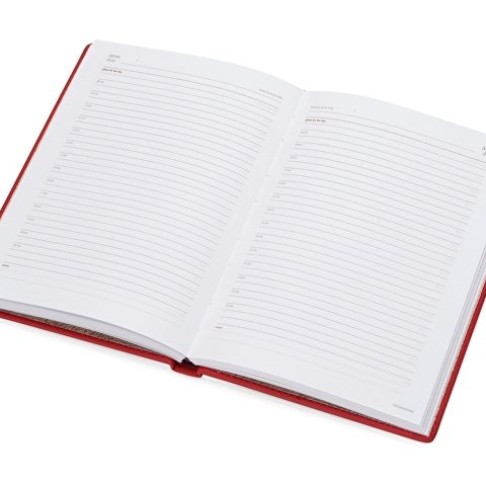 Ежедневник недатированный А5 «Velvet», красный