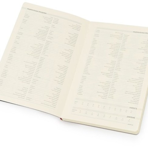 Ежедневник А5 недатированный «Megapolis Flex», красный