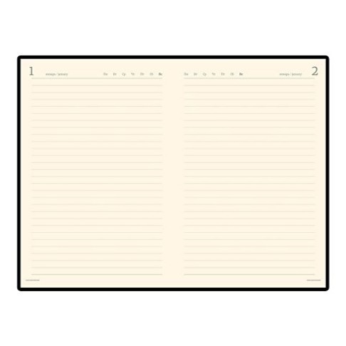 Ежедневник полудатированный портфолио А5  