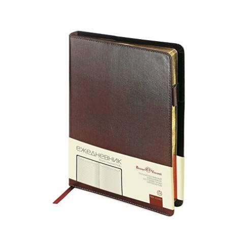 Ежедневник полудатированный портфолио А5  