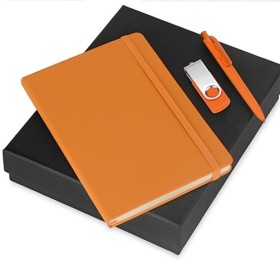 Подарочный набор Vision Pro Plus soft-touch с флешкой, ручкой и блокнотом А5, оранжевый