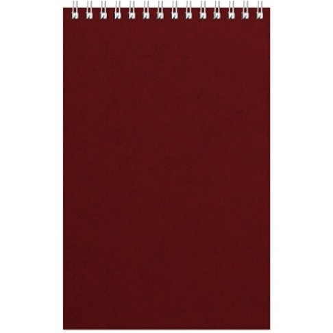 Бизнес - блокнот Альт А5 (137 х 198 мм) 