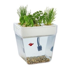 Набор для выращивания растений и ухода за рыбкой 