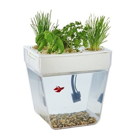 Набор для выращивания растений и ухода за рыбкой Набор для выращивания растений и ухода за рыбкой