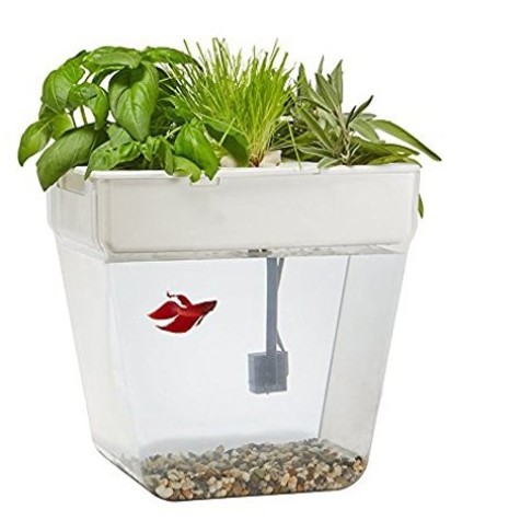 Набор для выращивания растений и ухода за рыбкой Набор для выращивания растений и ухода за рыбкой