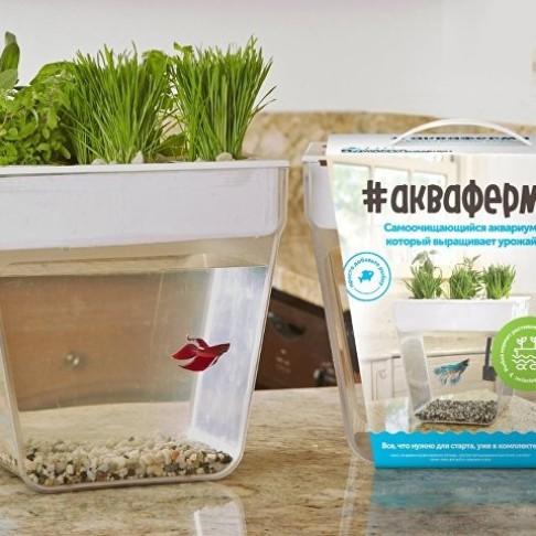 Набор для выращивания растений и ухода за рыбкой Набор для выращивания растений и ухода за рыбкой