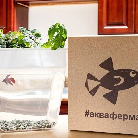 Набор для выращивания растений и ухода за рыбкой Набор для выращивания растений и ухода за рыбкой