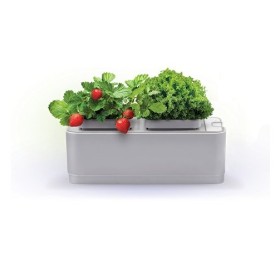 Компактный смарт-сад iGarden