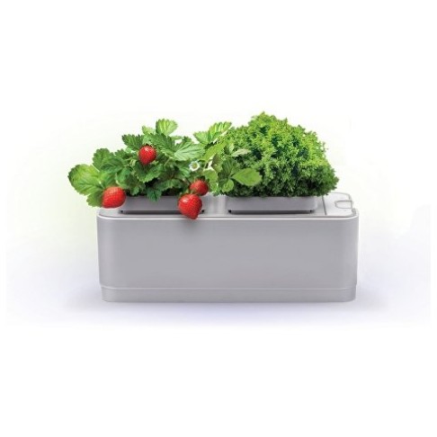 Компактный смарт-сад iGarden Компактный смарт-сад iGarden