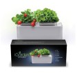 Компактный смарт-сад iGarden