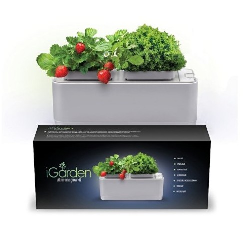 Компактный смарт-сад iGarden Компактный смарт-сад iGarden