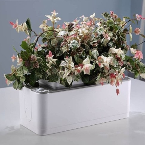 Компактный смарт-сад iGarden Компактный смарт-сад iGarden