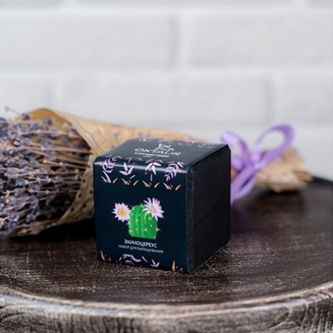 Набор для выращивания 