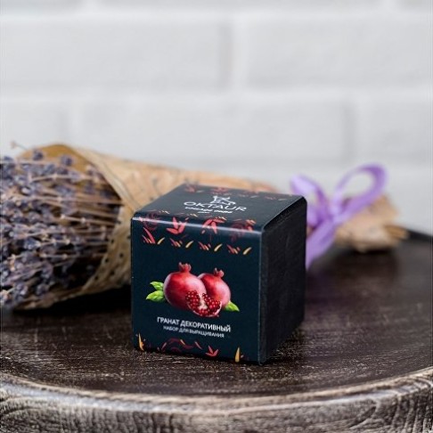 Набор для выращивания 