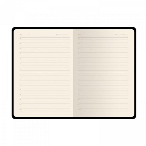 Ежедневник недатированный А5 