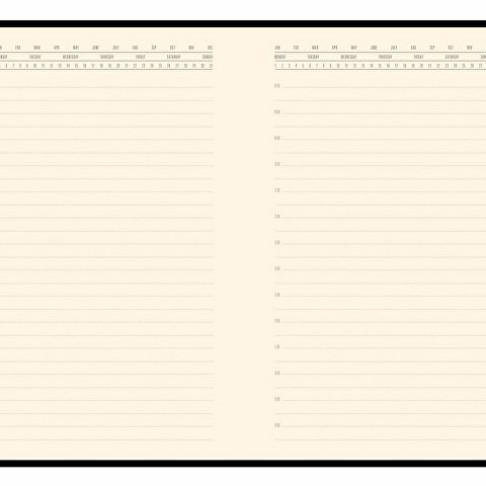 Ежедневник недатированный  А5 