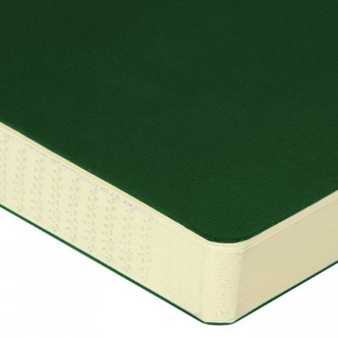 ЕЖЕДНЕВНИК недатированный А5- 