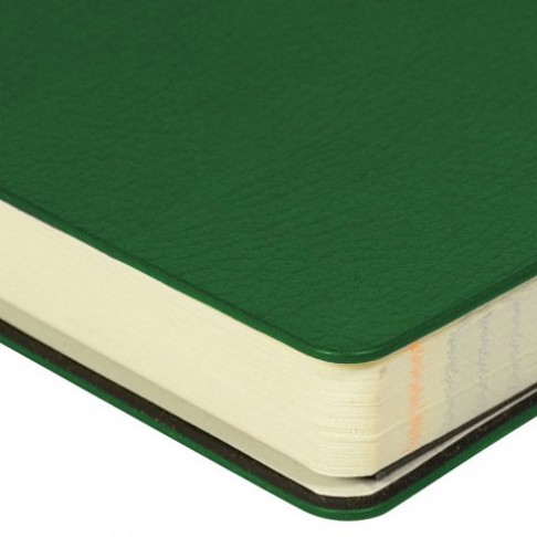 ЕЖЕДНЕВНИК недатированный А5- 