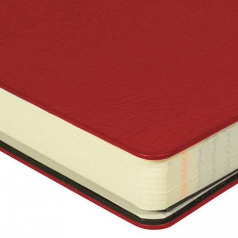 ЕЖЕДНЕВНИК недатированный А5- ЕЖЕДНЕВНИК недатированный А5-