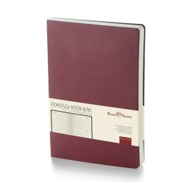 Ежедневник недатированный B5 