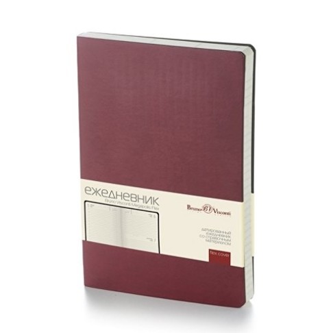 Ежедневник недатированный B5 