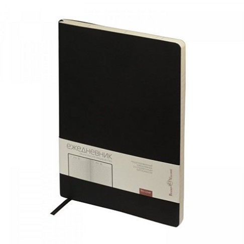 Ежедневник недатированный B5 