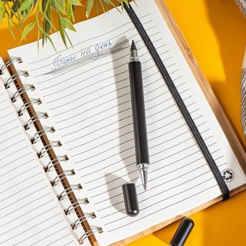 Металлическая ручка и вечный карандаш 