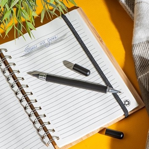 Металлическая ручка и вечный карандаш 