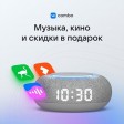 Умная колонка VK Капсула Мини с голосовым помощником Марусей, светлый серый