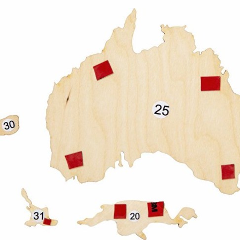 Интерьерная карта мира 