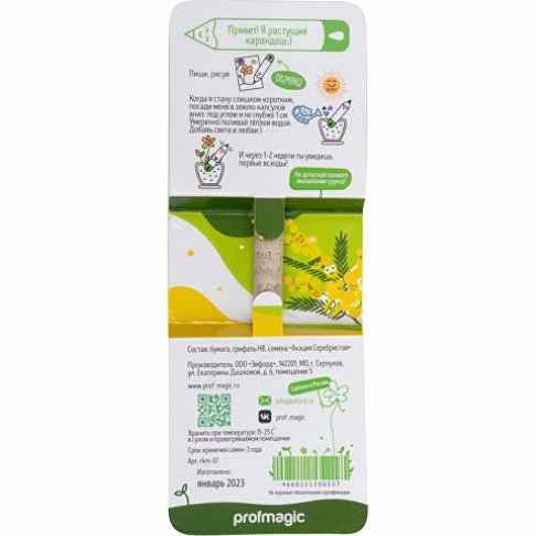 Растущий карандаш mini Magicme (1шт) - Акация Серебристая