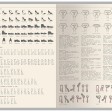 Ежедневник недатированный А5 