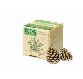 Набор для выращивания 