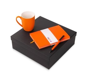 Подарочный набор c блокнотом C1, ручкой и кружкой, оранжевый