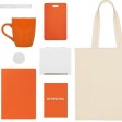 Welcome pack «Starter Bundle», оранжевый