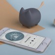 Портативная акустика Rombica Mysound Tito 2C, темно-серый (Р)