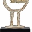 Награда SWIMMER