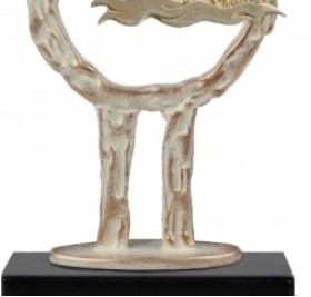 Награда SWIMMER