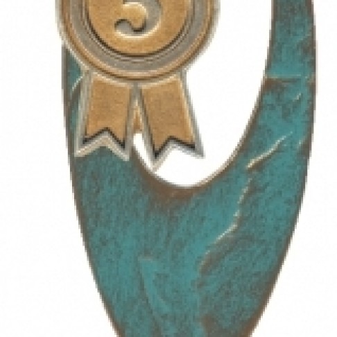 Награда VERDIGRIS: BRONZE WINNER